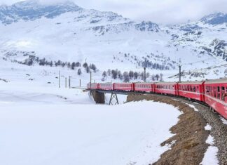 לא רק נוף לבן, כך מטיילים נכון בשלג – טיפים לישראלים שלא רגילים לקור