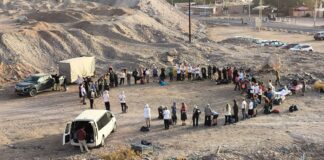 קרדיט רועי סוקולובסקי