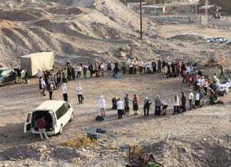 קרדיט רועי סוקולובסקי